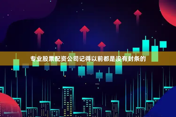 专业股票配资公司记得以前都是没有封条的